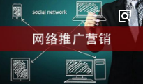 上海網(wǎng)絡(luò)推廣給企業(yè)帶來的網(wǎng)站流量、世界排名、訪問量等等